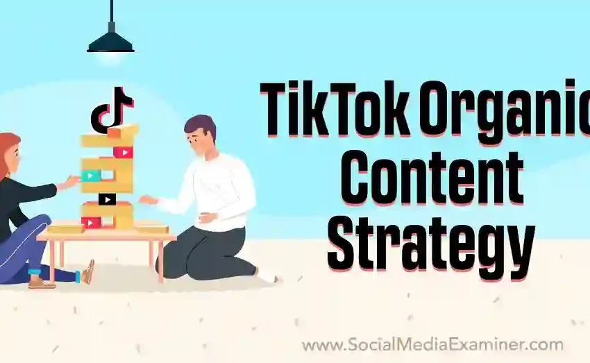  The TikTok Clock: Beyond the Clock – Factors Influencing TikTok Posting Success